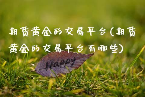 期货黄金的交易平台(期货黄金的交易平台有哪些)
