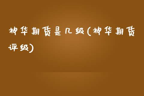 神华期货是几级(神华期货评级)