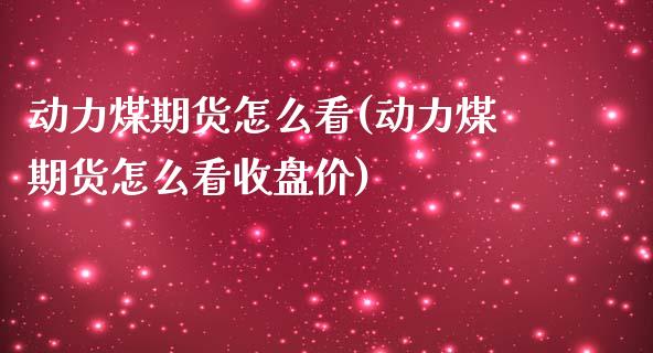 动力煤期货怎么看(动力煤期货怎么看收盘价)