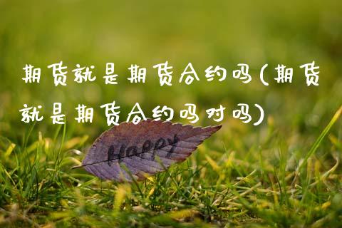 期货就是期货合约吗(期货就是期货合约吗对吗)