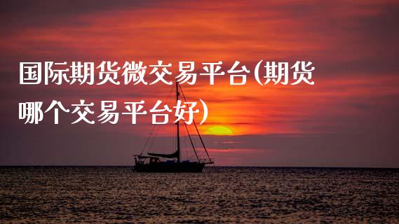 国际期货微交易平台(期货哪个交易平台好)