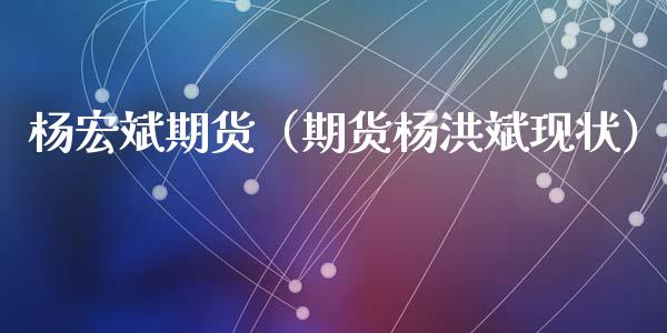 杨宏斌期货（期货杨洪斌现状）