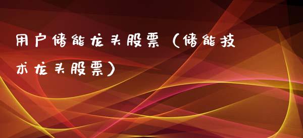 用户储能龙头股票（储能技术龙头股票）