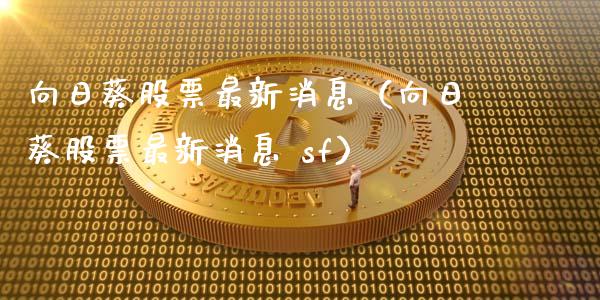 向日葵股票最新消息（向日葵股票最新消息 sf）