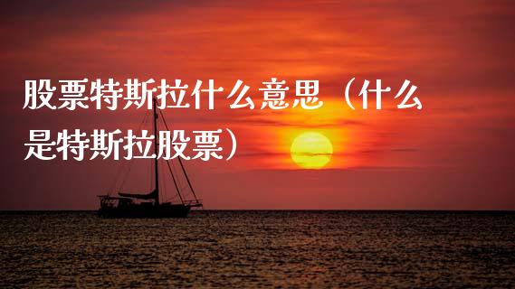 股票特斯拉什么意思（什么是特斯拉股票）