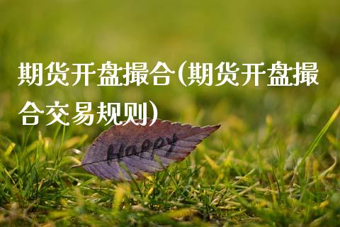 期货开盘撮合(期货开盘撮合交易规则)