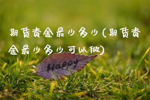 期货资金最少多少(期货资金最少多少可以做)