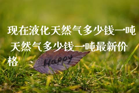 现在液化天然气多少钱一吨 天然气多少钱一吨最新价格