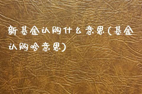 新基金认购什么意思(基金认购啥意思)