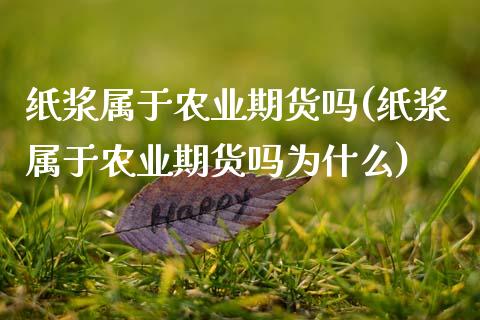 纸浆属于农业期货吗(纸浆属于农业期货吗为什么)