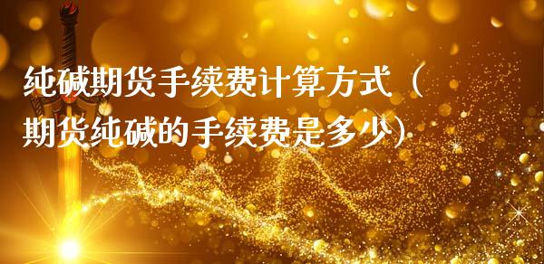 纯碱期货手续费计算方式（期货纯碱的手续费是多少）