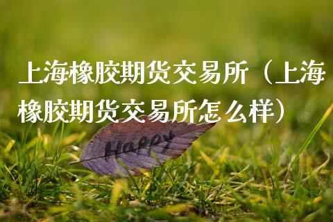 上海橡胶期货交易所（上海橡胶期货交易所怎么样）