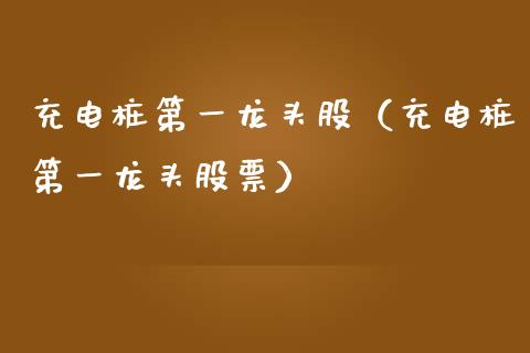 充电桩第一龙头股（充电桩第一龙头股票）_https://www.dglong8.com_财经要闻_第1张