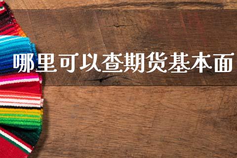 哪里可以查期货基本面