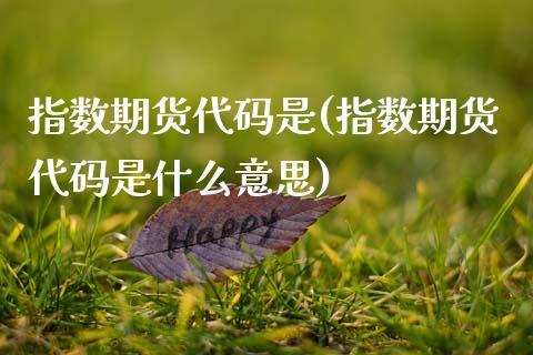 指数期货代码是(指数期货代码是什么意思)