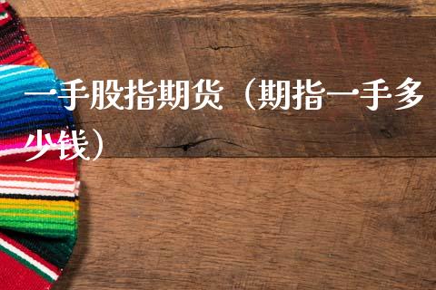 一手股指期货（期指一手多少钱）