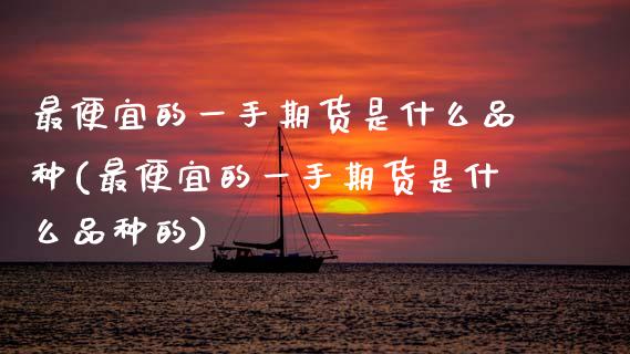 最便宜的一手期货是什么品种(最便宜的一手期货是什么品种的)