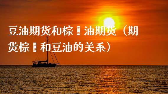 豆油期货和棕榈油期货（期货棕榈和豆油的关系）