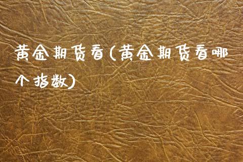 黄金期货看(黄金期货看哪个指数)