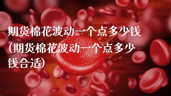 期货棉花波动一个点多少钱(期货棉花波动一个点多少钱合适)