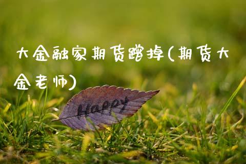 大金融家期货蹭掉(期货大金老师)