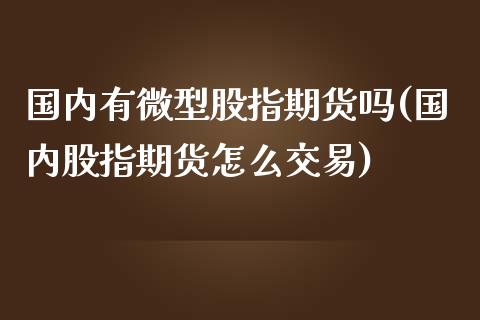 国内有微型股指期货吗(国内股指期货怎么交易)