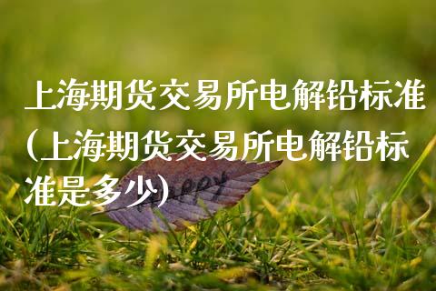 上海期货交易所电解铅标准(上海期货交易所电解铅标准是多少)