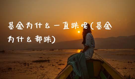 基金为什么一直跌呢(基金为什么都跌)