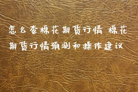 怎么查棉花期货行情 棉花期货行情预测和操作建议