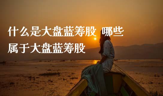 什么是大盘蓝筹股  哪些属于大盘蓝筹股_https://www.dglong8.com_股票理财_第1张