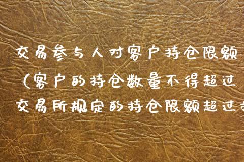 交易参与人对客户持仓限额（客户的持仓数量不得超过交易所规定的持仓限额超过持仓）
