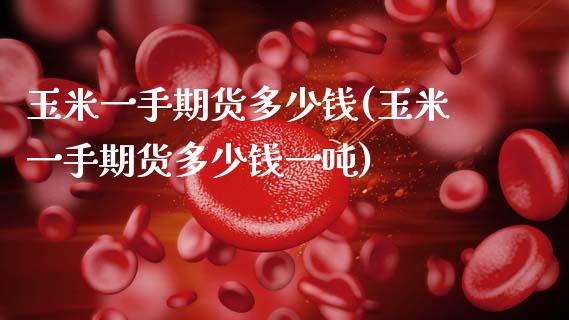 玉米一手期货多少钱(玉米一手期货多少钱一吨)