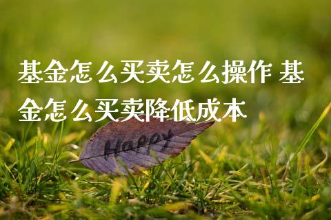 基金怎么买卖怎么操作 基金怎么买卖降低成本_基金理财_第1张_宇龙理财网 基金怎么买卖怎么操作 基金怎么买卖降低成本_https://www.dglong8.com_基金理财_第1张