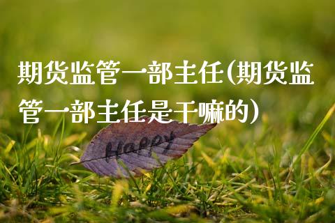 期货监管一部主任(期货监管一部主任是)