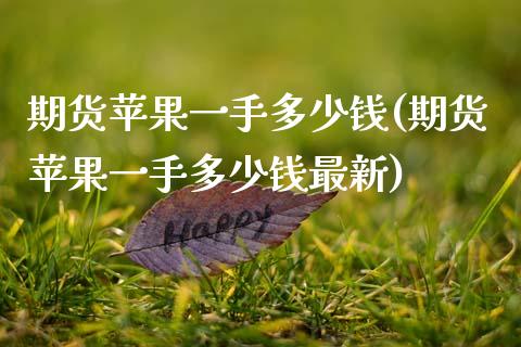 期货苹果一手多少钱(期货苹果一手多少钱最新)