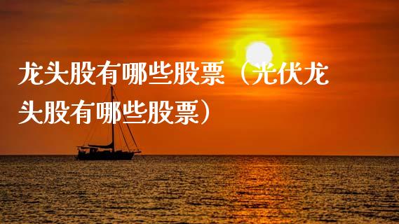 龙头股有哪些股票（光伏龙头股有哪些股票）
