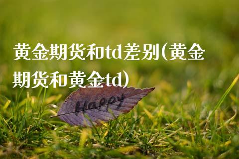 黄金期货和td差别(黄金期货和黄金td)
