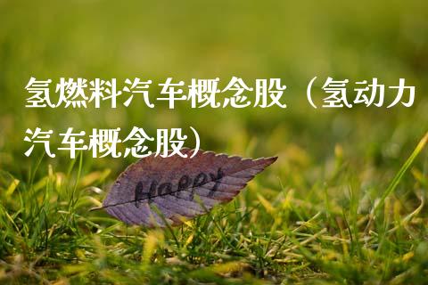 氢燃料汽车概念股（氢动力汽车概念股）