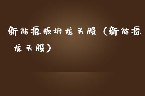 新能源板块龙头股（新能源 龙头股）