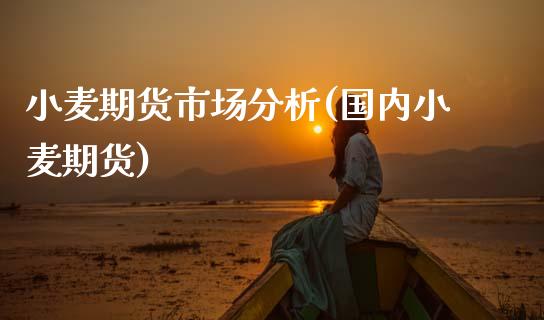 小麦期货市场分析(国内小麦期货)