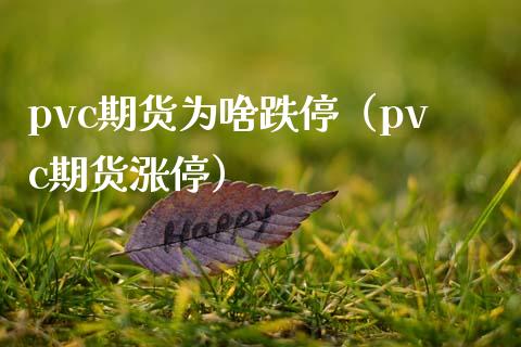 pvc期货为啥跌停（pvc期货涨停）