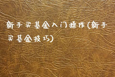 新手买基金入门操作(新手买基金技巧)