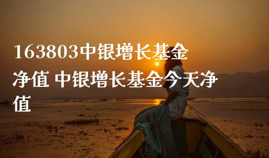163803中银增长基金净值 中银增长基金今天净值