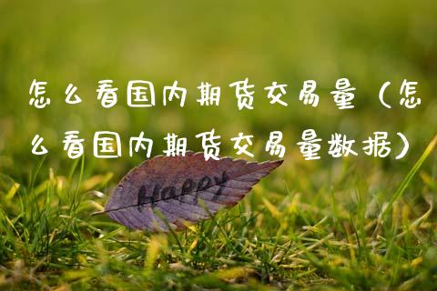 怎么看国内期货交易量（怎么看国内期货交易量数据）