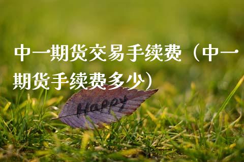 期货交易手续费（期货手续费多少）