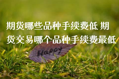 期货哪些品种手续费低 期货交易哪个品种手续费最低