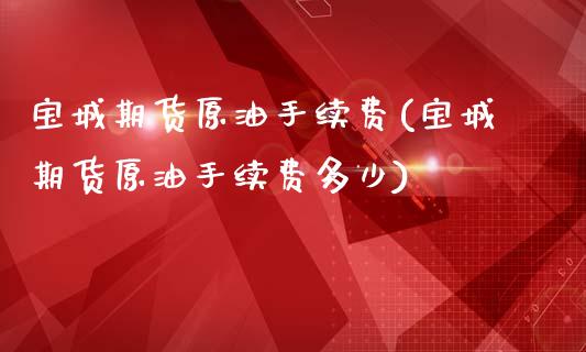 宝城期货原油手续费(宝城期货原油手续费多少)