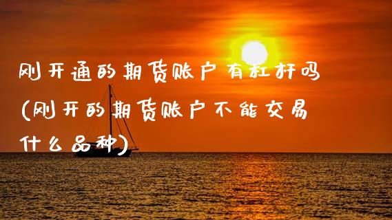 刚开通的期货账户有杠杆吗(刚开的期货账户不能交易什么品种)