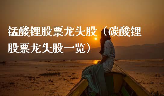 锰酸锂股票龙头股（碳酸锂股票龙头股一览）