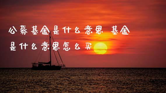 公募基金是什么意思 基金是什么意思怎么买